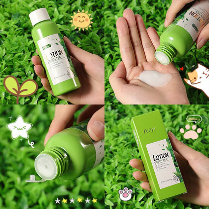 Green Tea Facial Kit Korean Cosmetics Acne Treatment Face Serum Eye Cream Fresh Sunscreen Face Care Nourish Sakura Skin Care Set